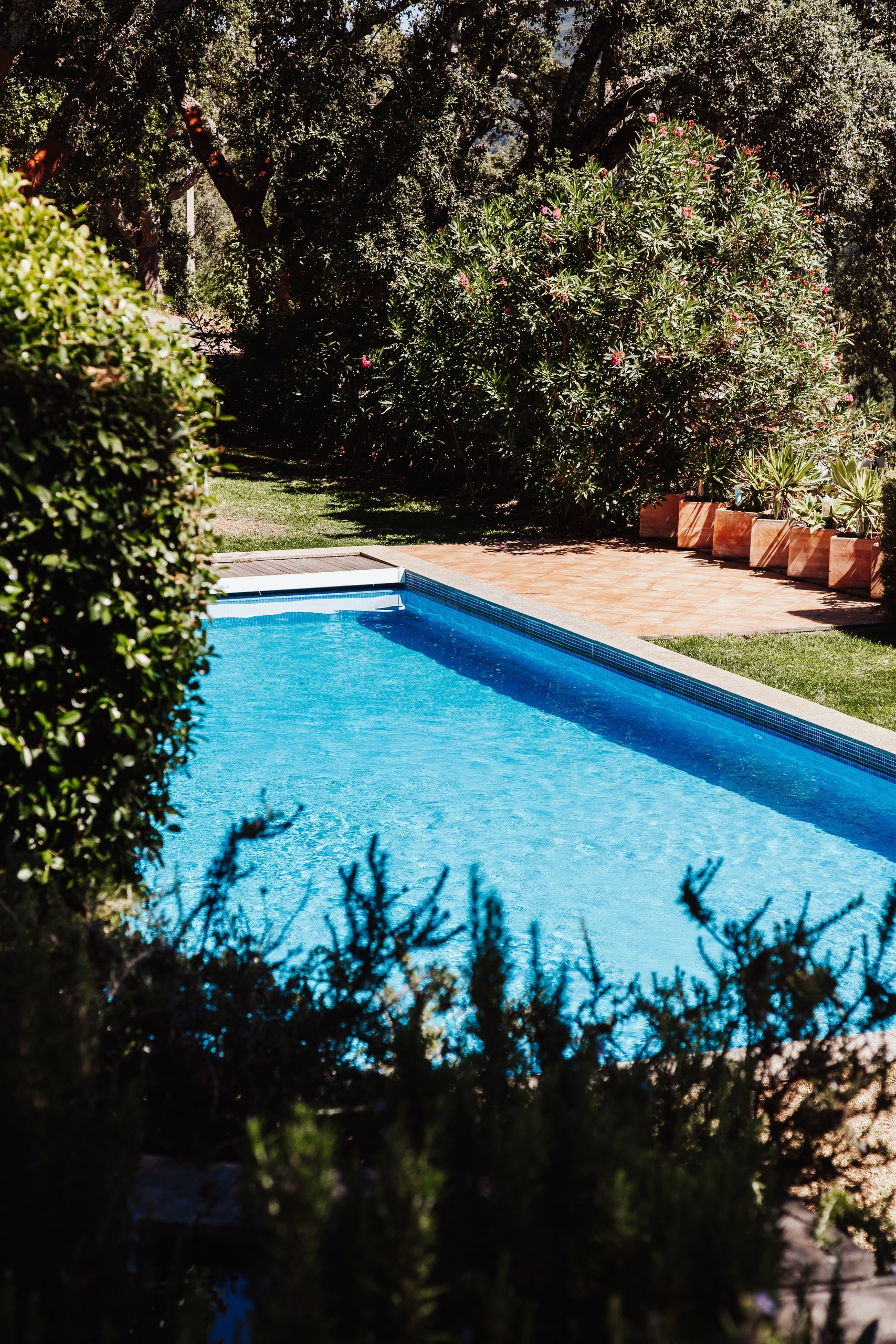 VilaFoia swimming pool surrounded by gardens