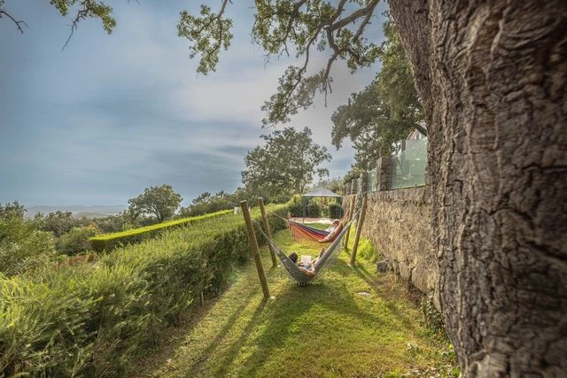 Hammock in the VilaFoia garden overlooking the Algarve